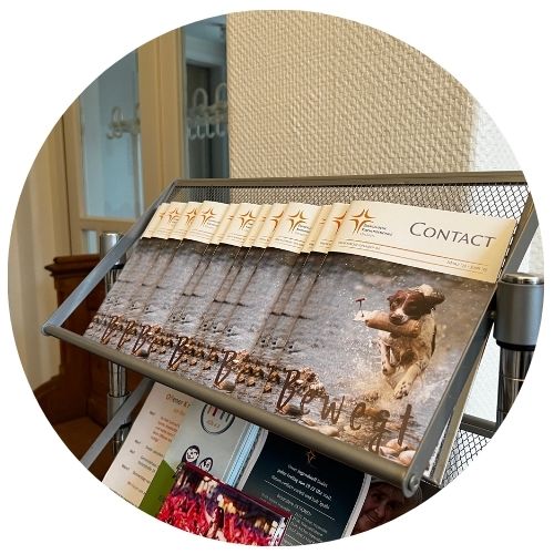 Jemand klingelt an der Tür